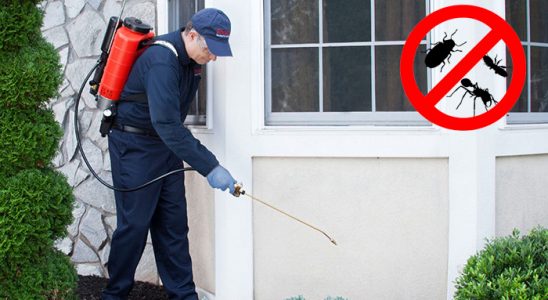Hisarcık Bit İlaçlama böcek ilaçlama ve haşere kontrolü — ilaclama-tr.com